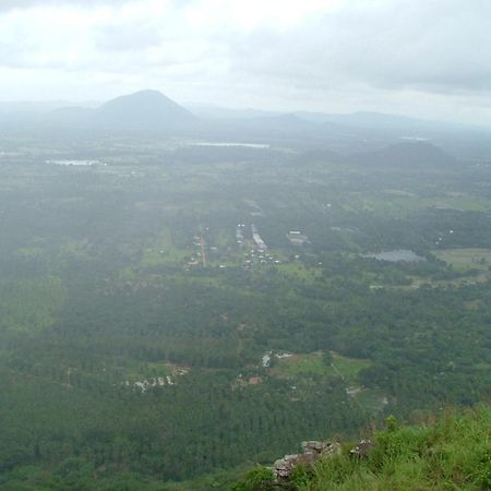 Raintree Villa Dambulla Eksteriør billede