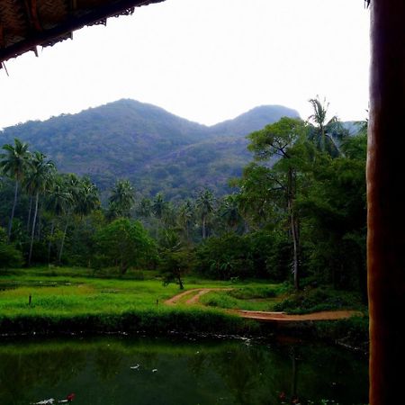 Raintree Villa Dambulla Eksteriør billede