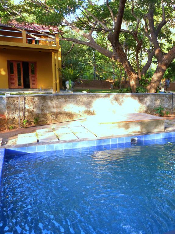 Raintree Villa Dambulla Eksteriør billede