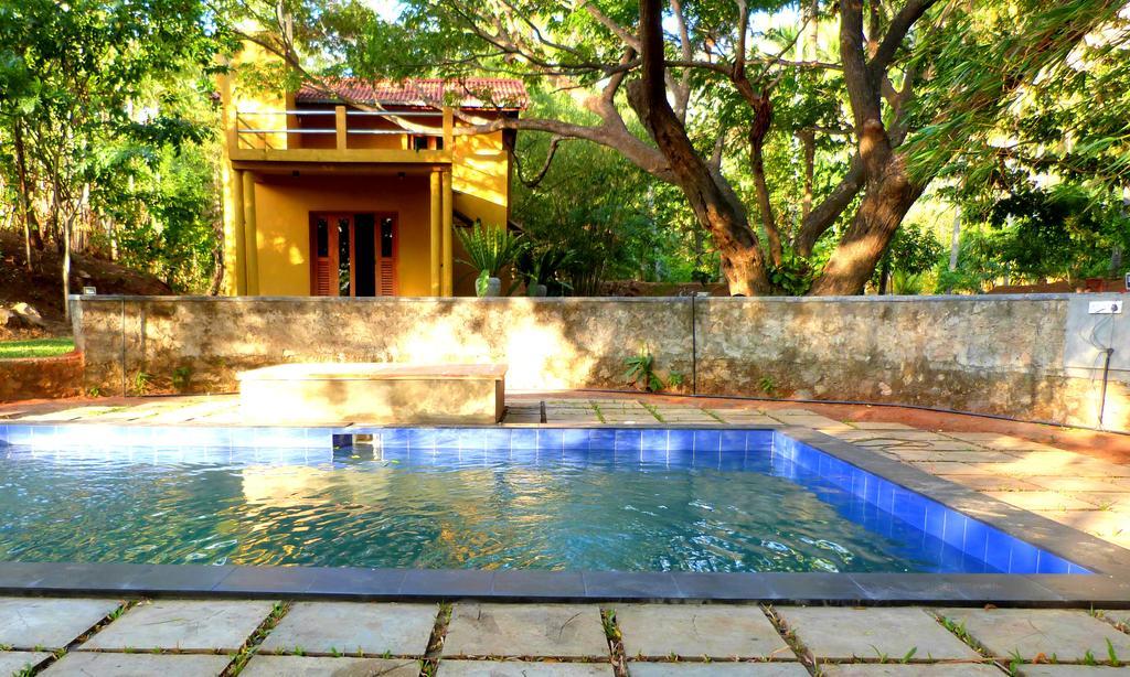 Raintree Villa Dambulla Eksteriør billede