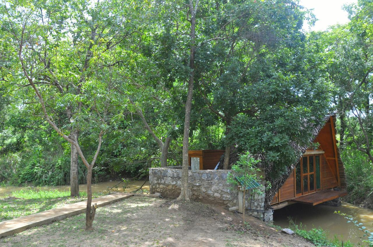Raintree Villa Dambulla Eksteriør billede