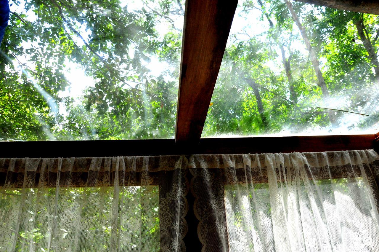 Raintree Villa Dambulla Eksteriør billede