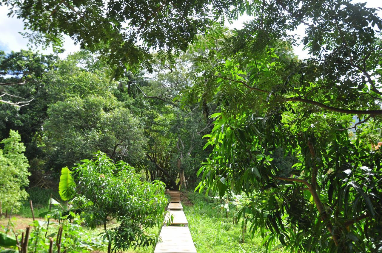 Raintree Villa Dambulla Eksteriør billede