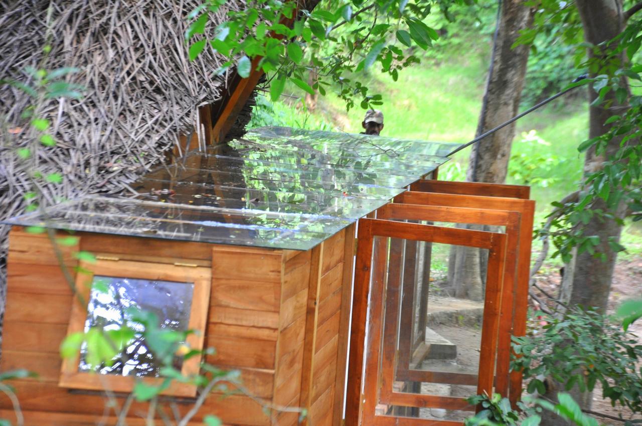 Raintree Villa Dambulla Eksteriør billede
