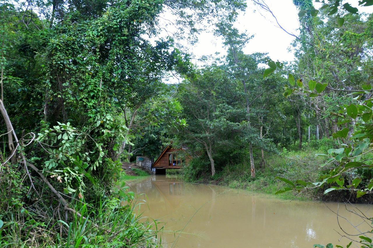 Raintree Villa Dambulla Eksteriør billede
