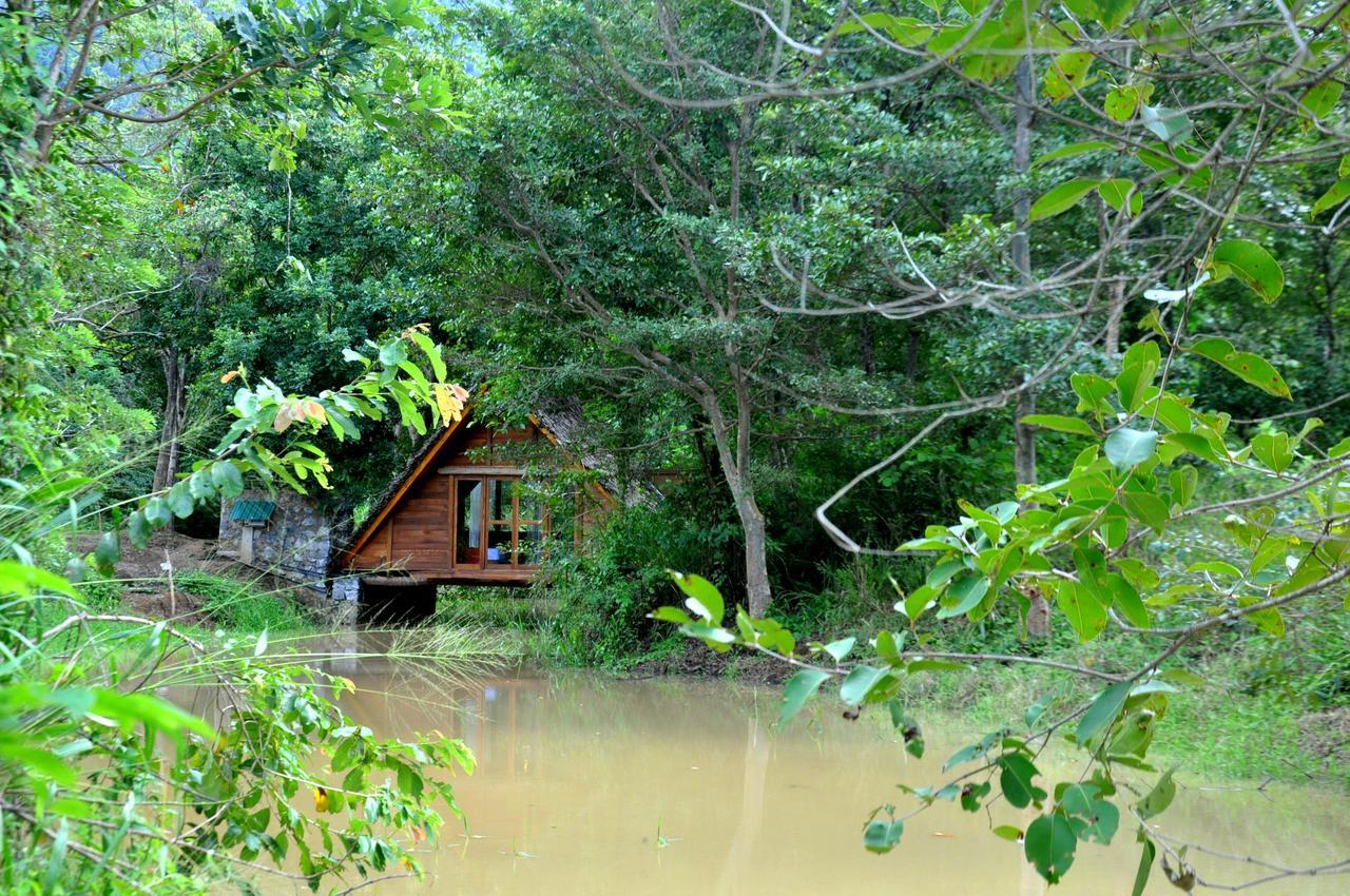 Raintree Villa Dambulla Eksteriør billede