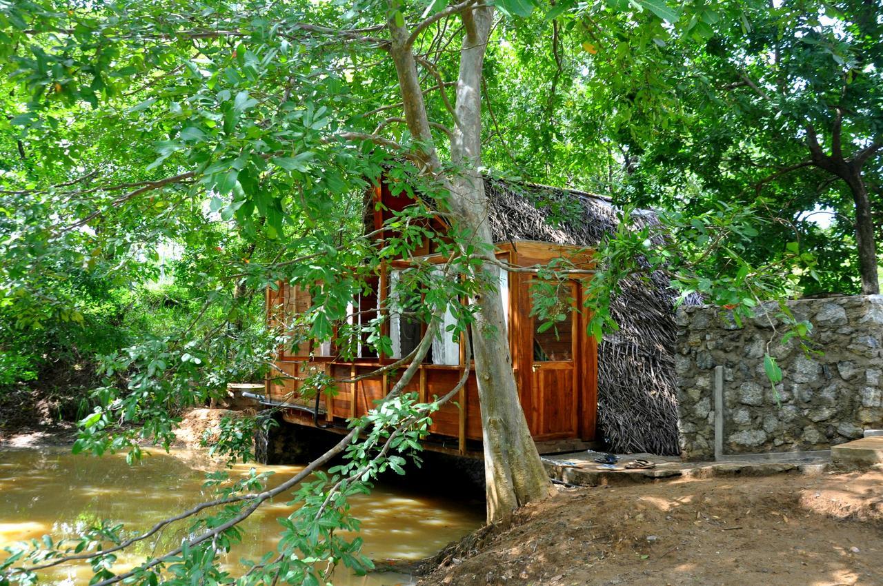 Raintree Villa Dambulla Eksteriør billede