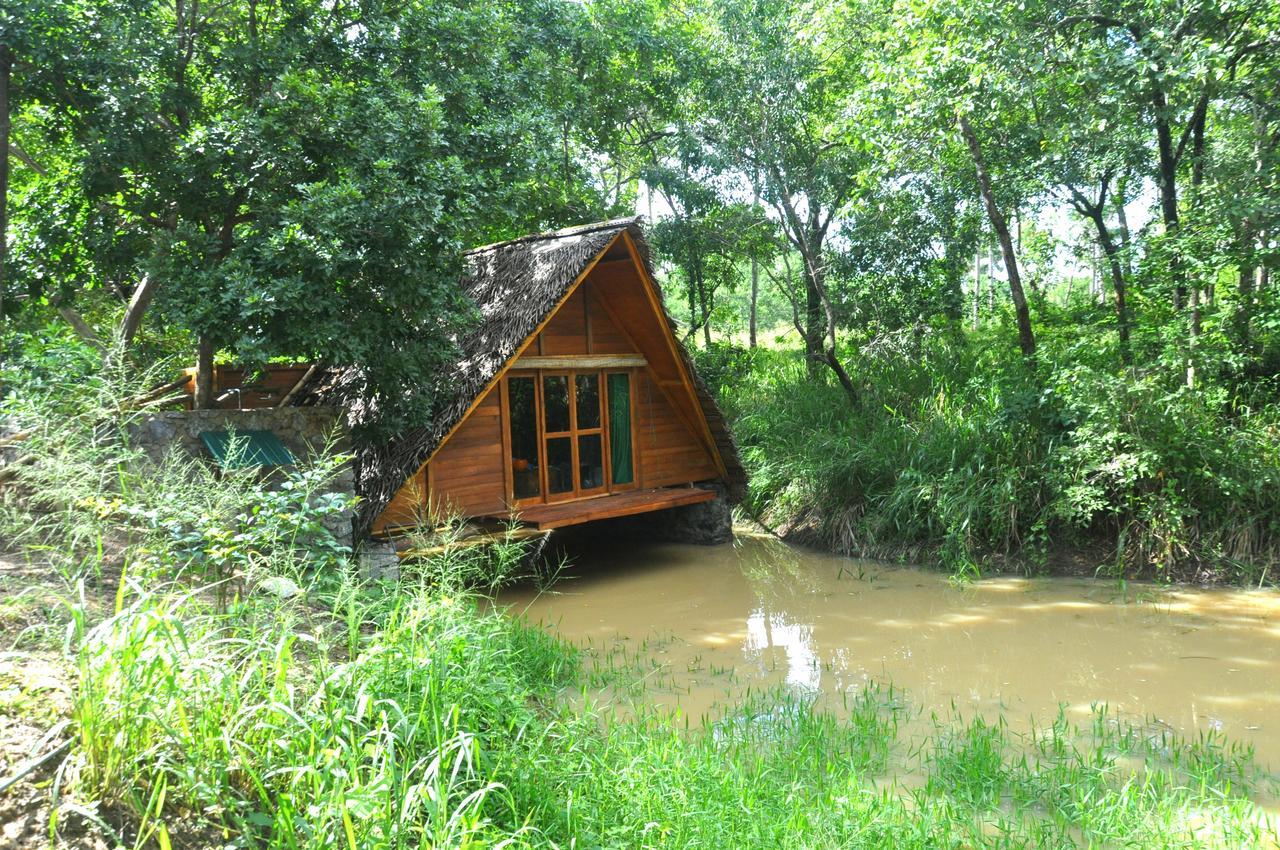 Raintree Villa Dambulla Eksteriør billede