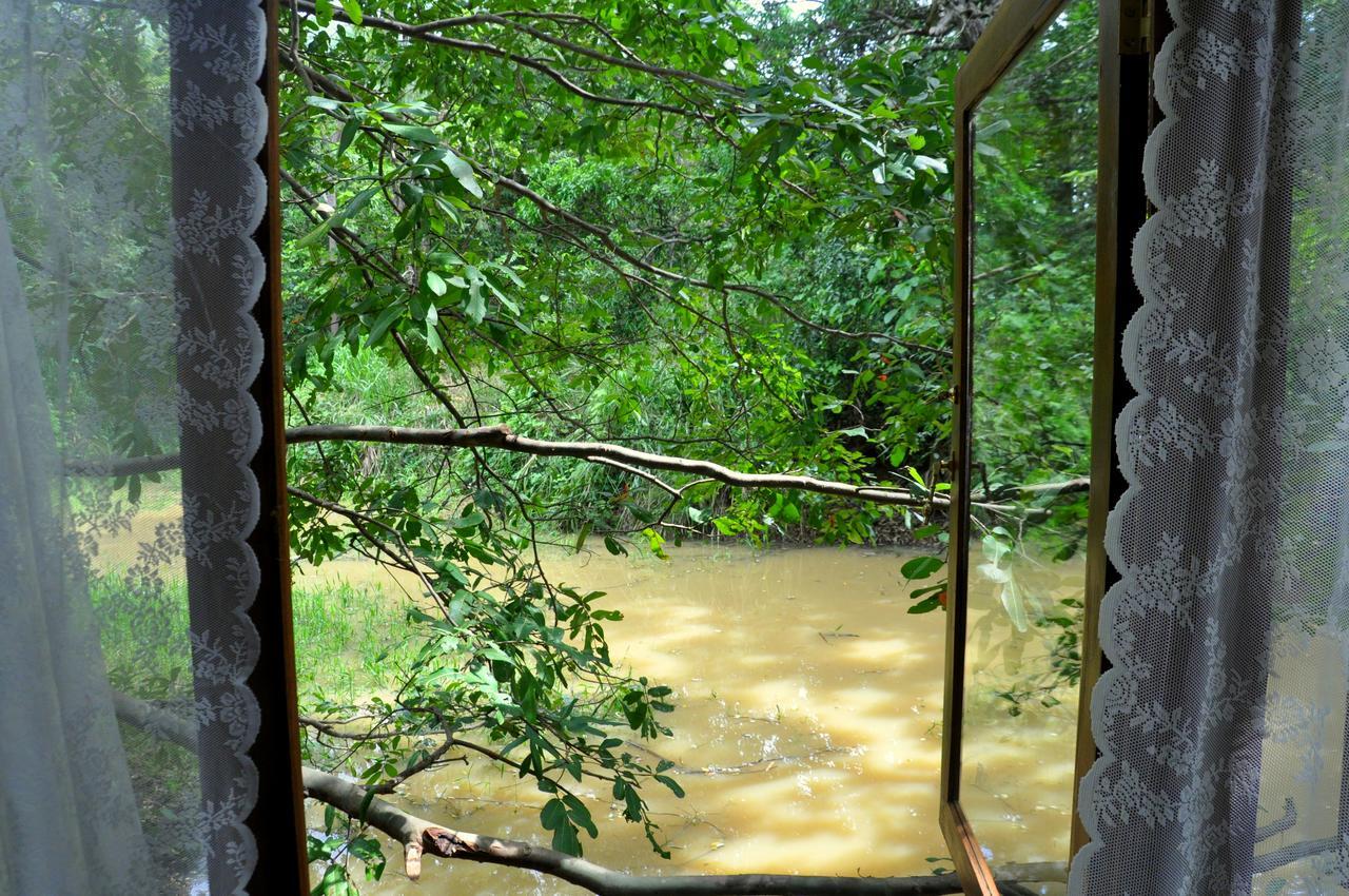 Raintree Villa Dambulla Eksteriør billede