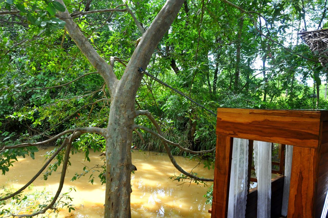 Raintree Villa Dambulla Eksteriør billede