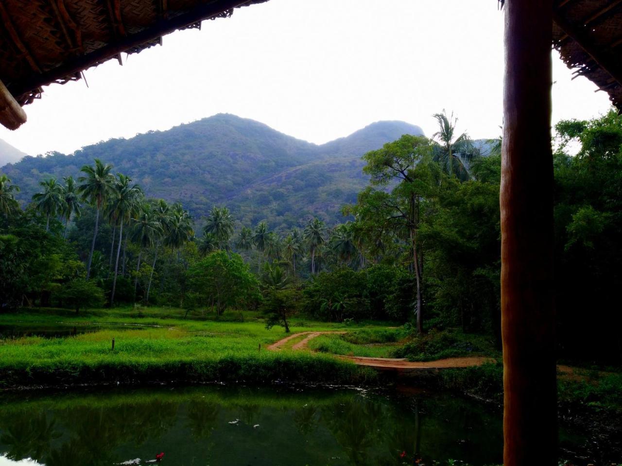 Raintree Villa Dambulla Eksteriør billede