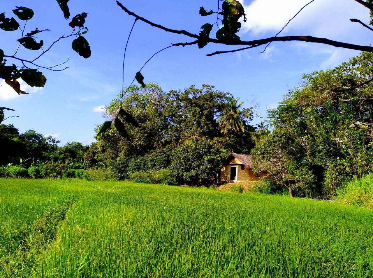 Raintree Villa Dambulla Eksteriør billede
