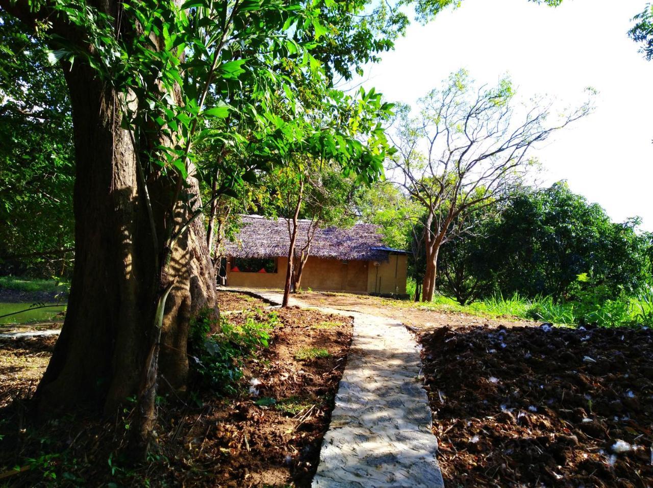 Raintree Villa Dambulla Eksteriør billede