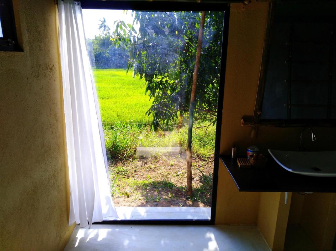 Raintree Villa Dambulla Eksteriør billede