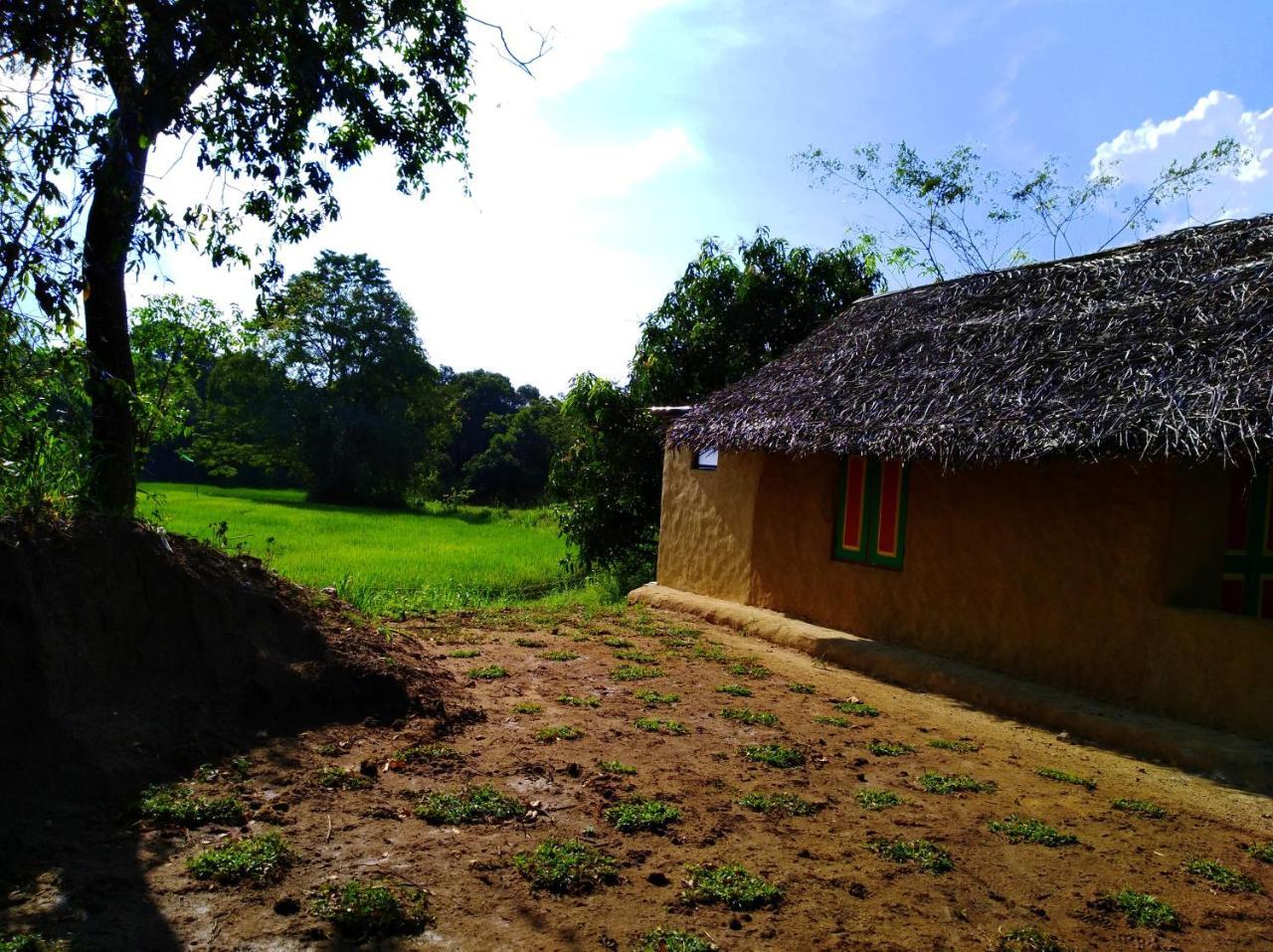 Raintree Villa Dambulla Eksteriør billede