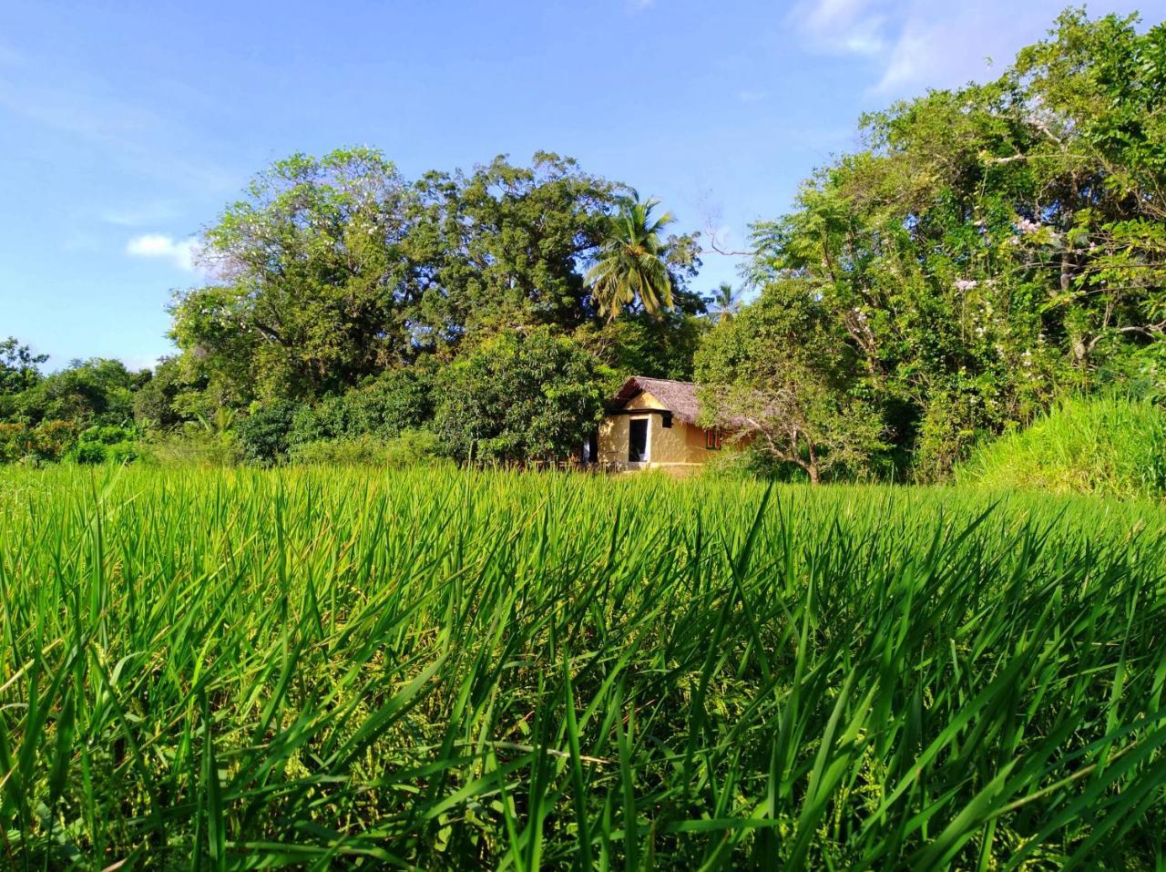 Raintree Villa Dambulla Eksteriør billede