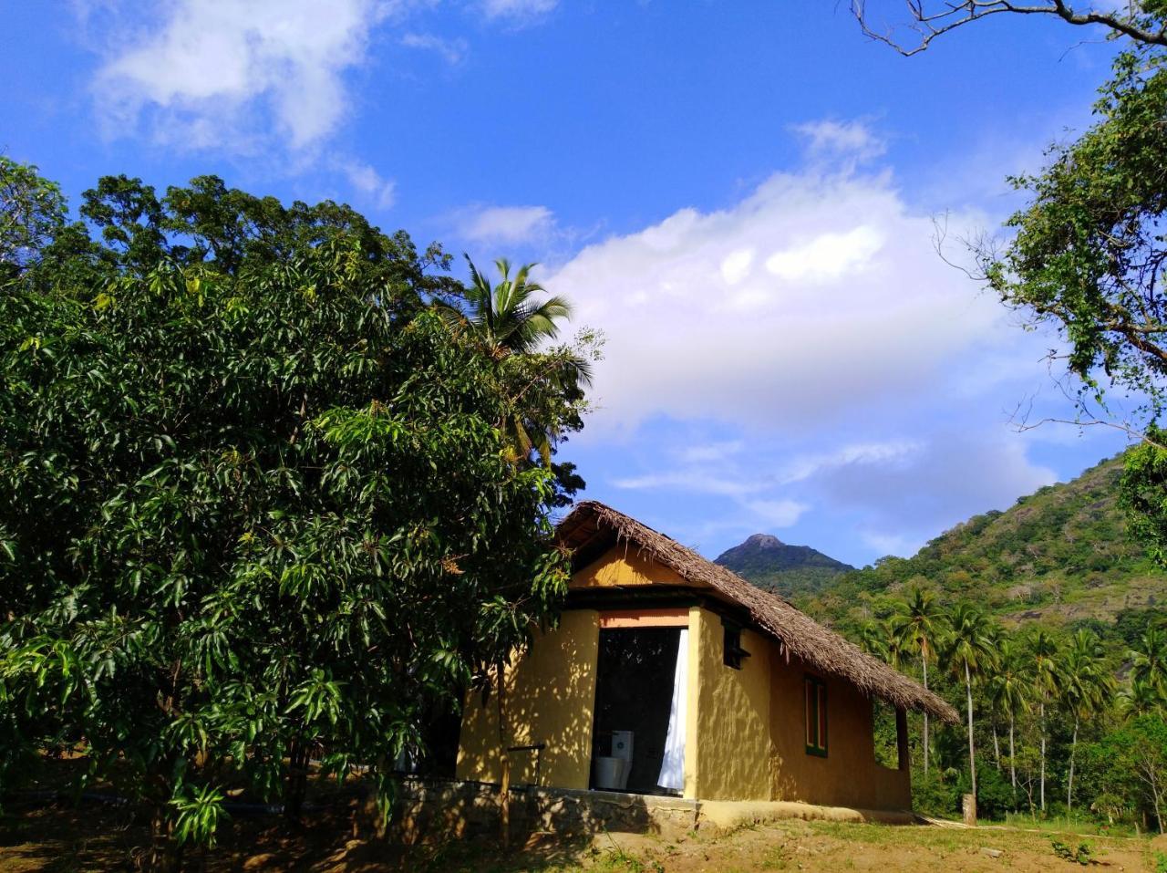 Raintree Villa Dambulla Eksteriør billede