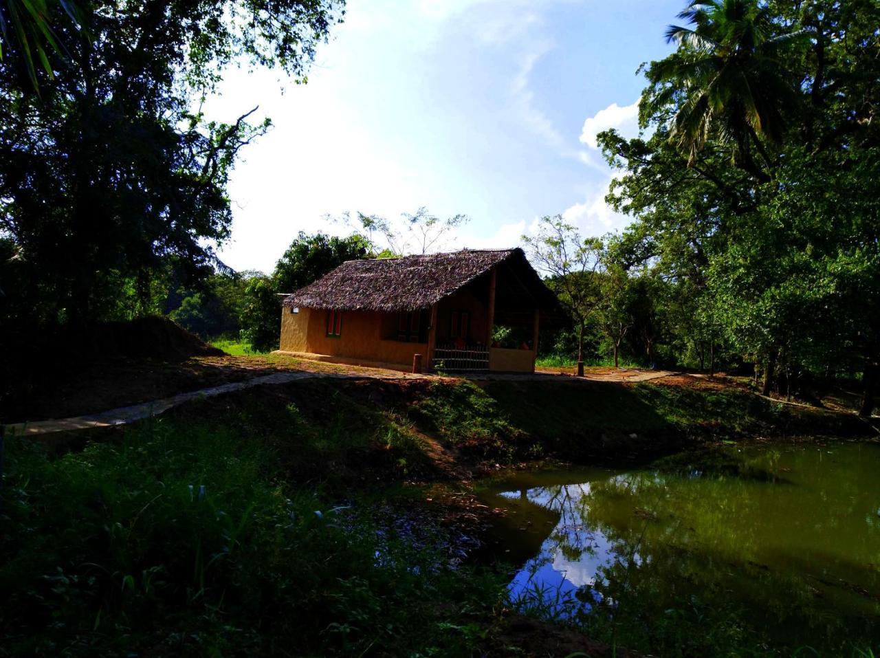 Raintree Villa Dambulla Eksteriør billede