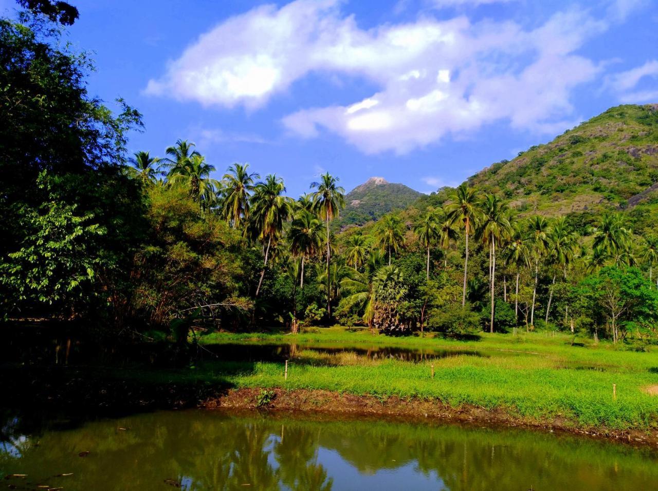 Raintree Villa Dambulla Eksteriør billede