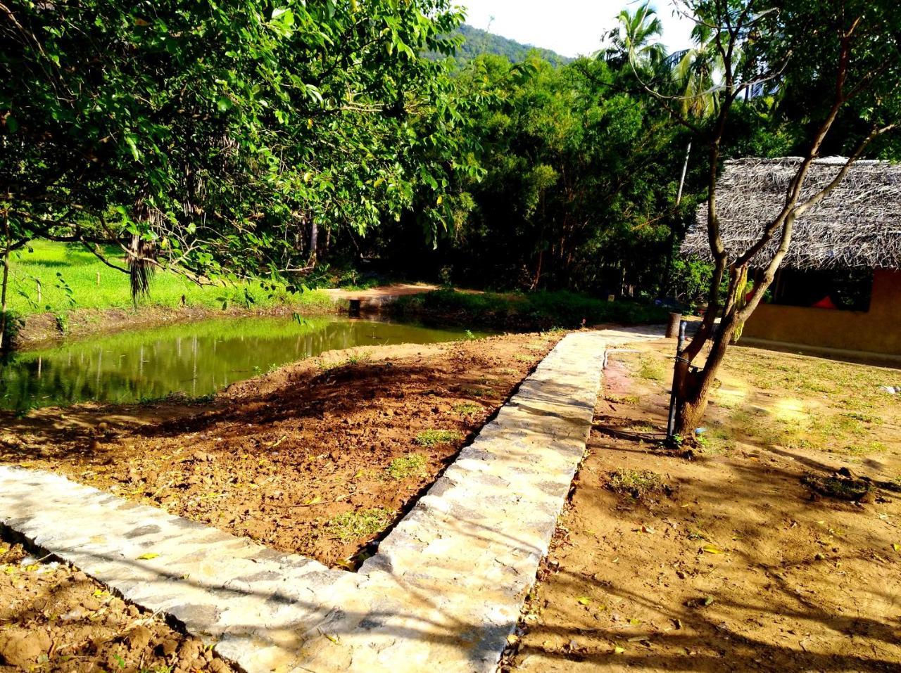 Raintree Villa Dambulla Eksteriør billede